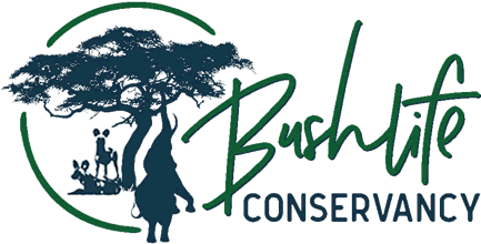 Bushlife Conservancy