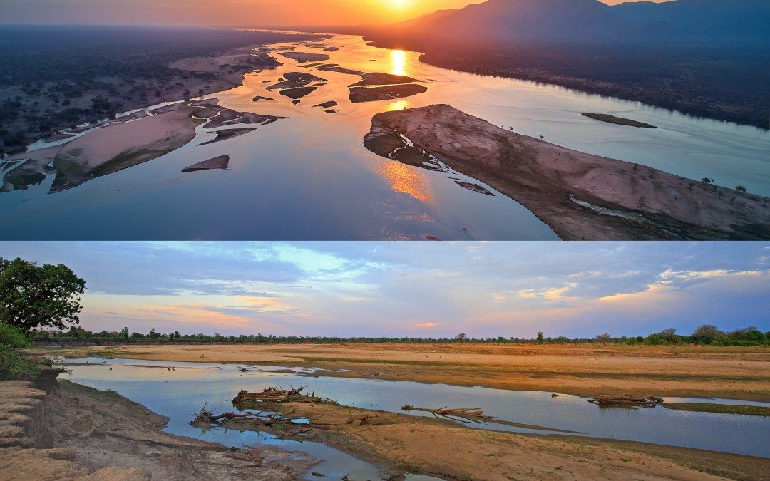 The Zambezi and the Luangwa Rivers.