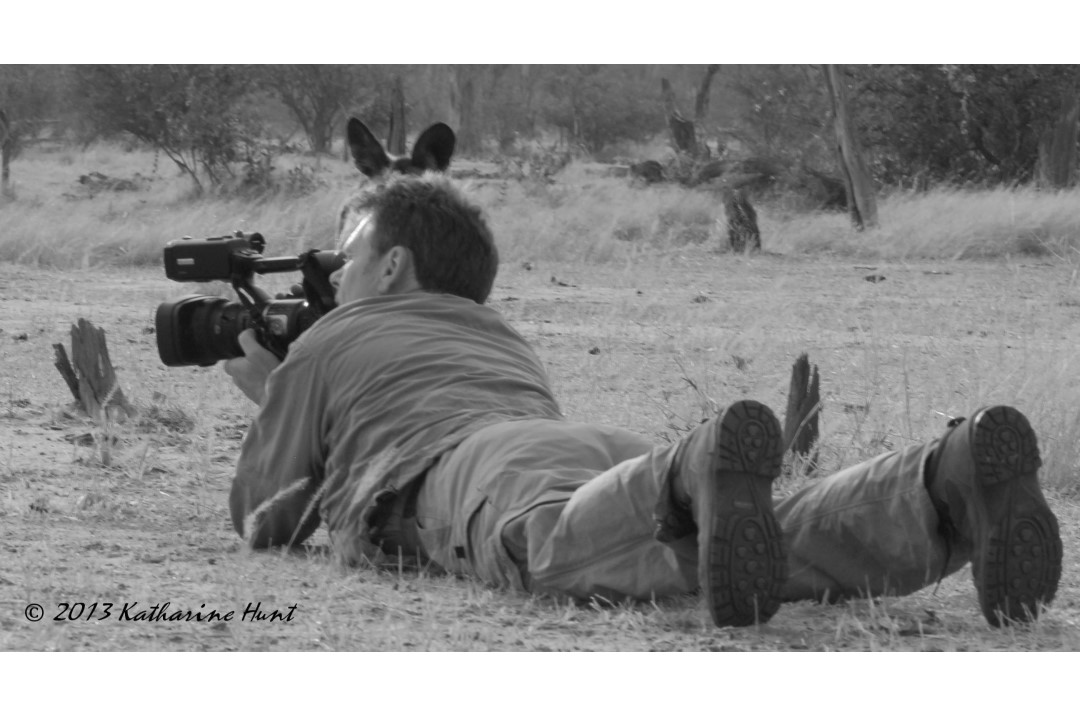 Up close and personal with a wild dog Zimbabwe